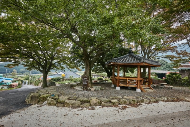 海南 東海キムチ村（해남 동해김치마을） (1/9)