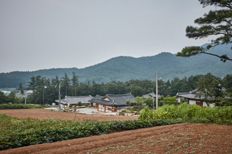海南 東海キムチ村（해남 동해김치마을） (9/9)