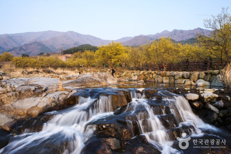 求礼 山茱萸村（구례 산수유마을） (10/11)