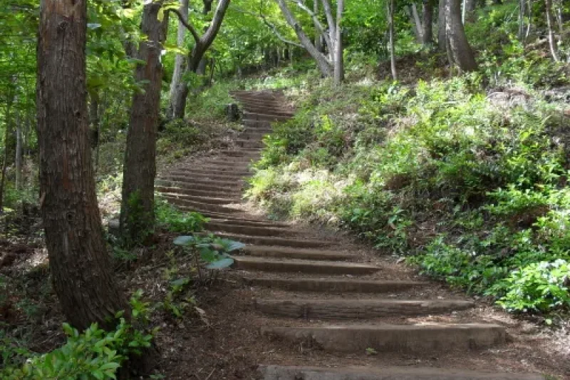 孤根山（고근산） (1/2)