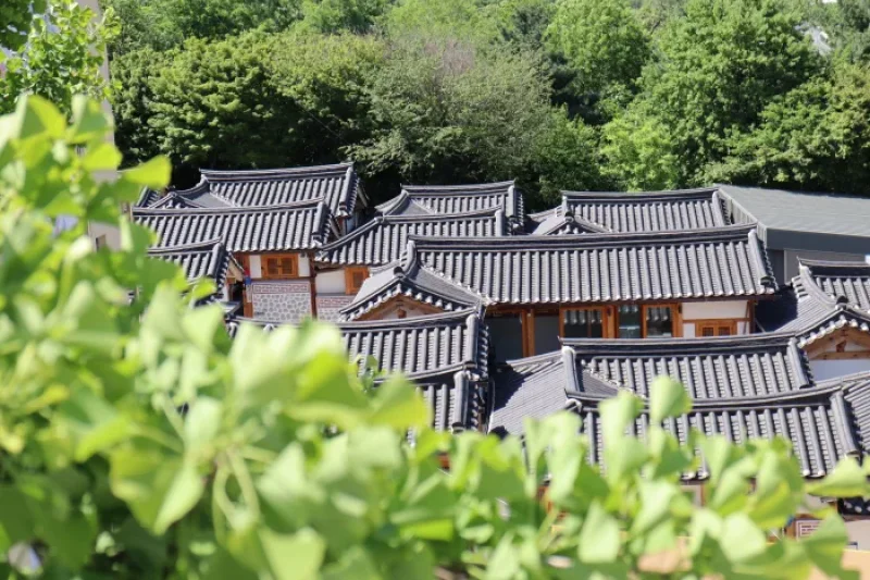 敦義門博物館村（돈의문박물관마을） (7/8)