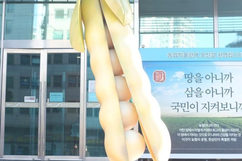 農業博物館（농업박물관） (5/5)