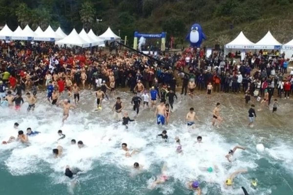 巨済島国際ペンギン水泳祭り