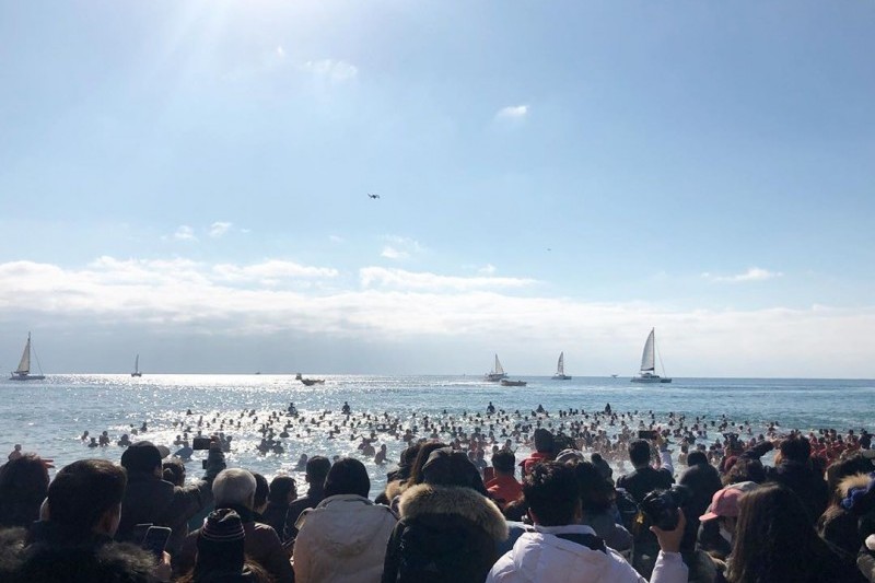 巨済島国際ペンギン水泳祭り (2/4)