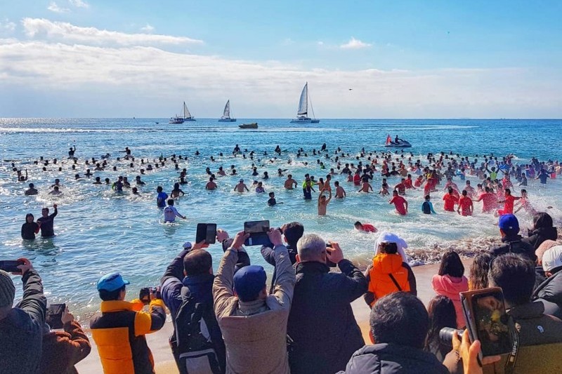 巨済島国際ペンギン水泳祭り (3/4)