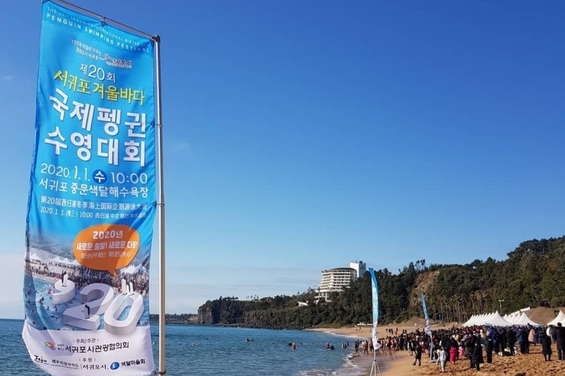 巨済島国際ペンギン水泳祭り (4/4)