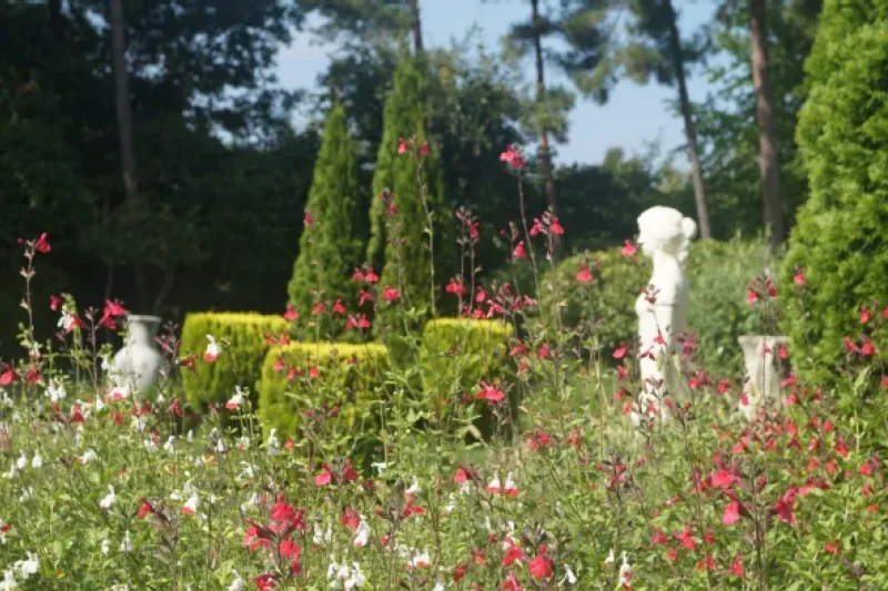 園芸芸術村（원예예술촌） (13/17)