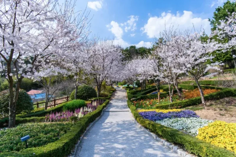 園芸芸術村（원예예술촌） (17/17)