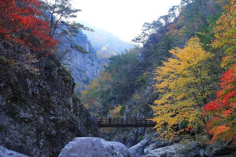 寺谷渓谷（절골계곡） (1/4)