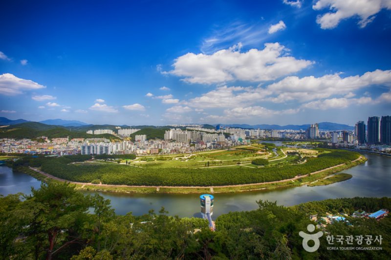 太和江国家庭園 十里竹林（天の川の道）（태화강 국가정원 십리대숲 (은하수길)） (1/12)
