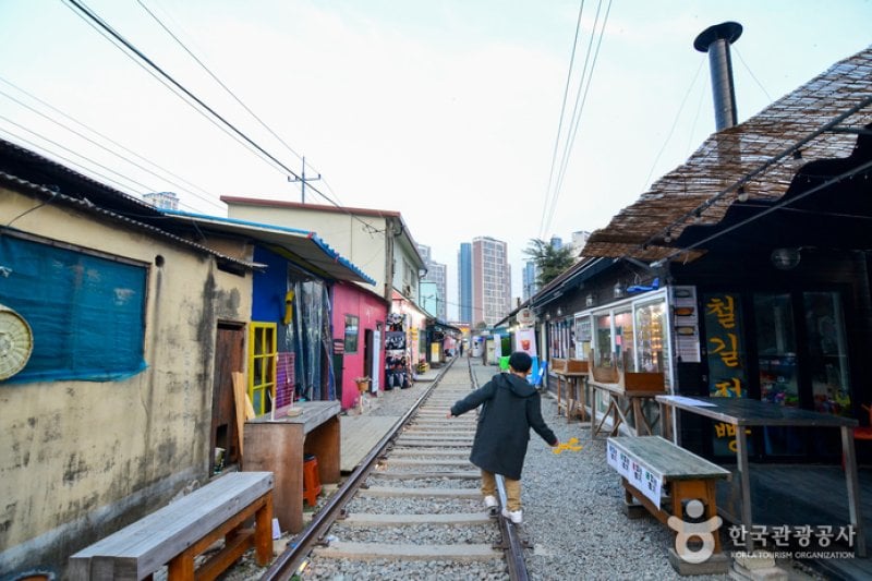 群山 時間旅行村（군산 시간여행마을） (1/13)