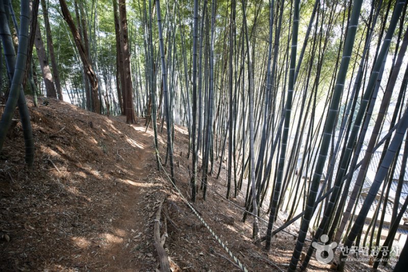 群山 時間旅行村（군산 시간여행마을） (13/13)