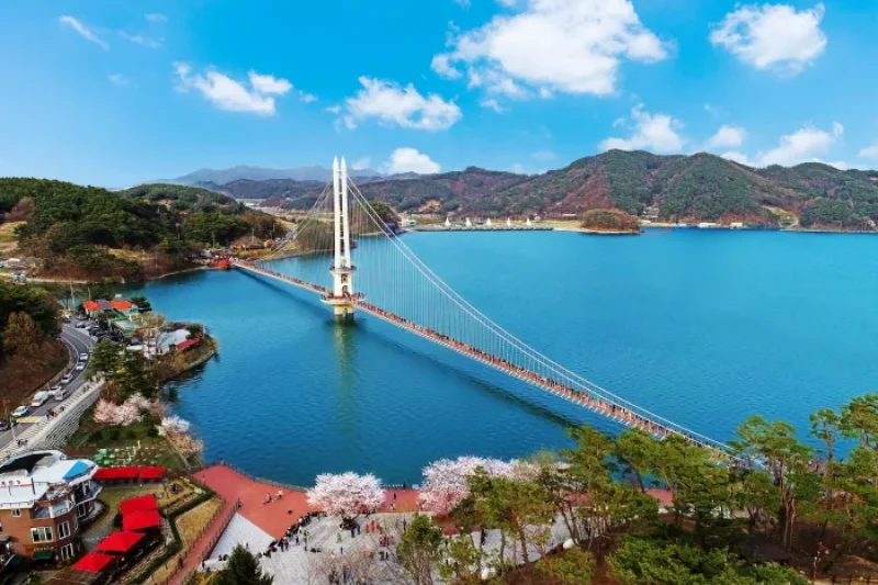 礼唐湖つり橋（예당호 출렁다리） (1/11)