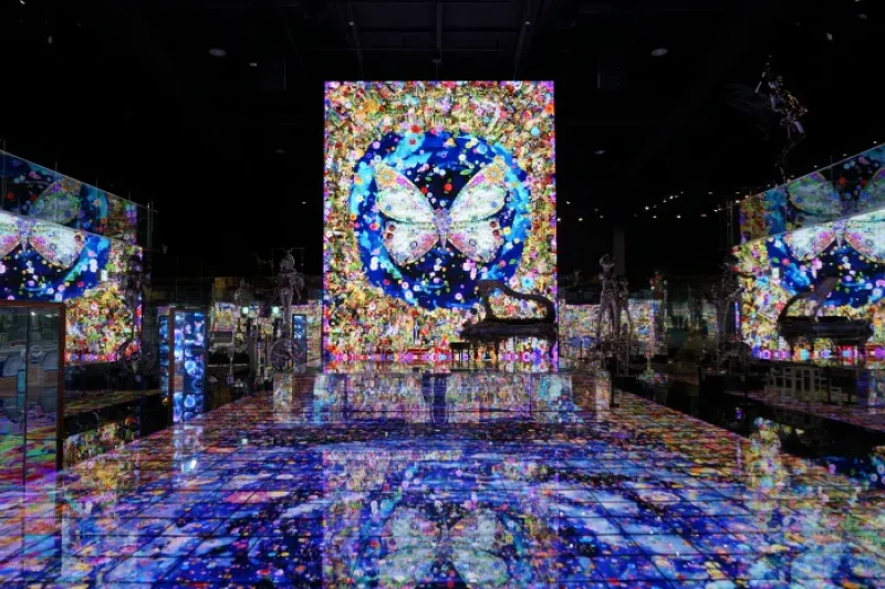 museum DAH：（뮤지엄 다:） (6/6)