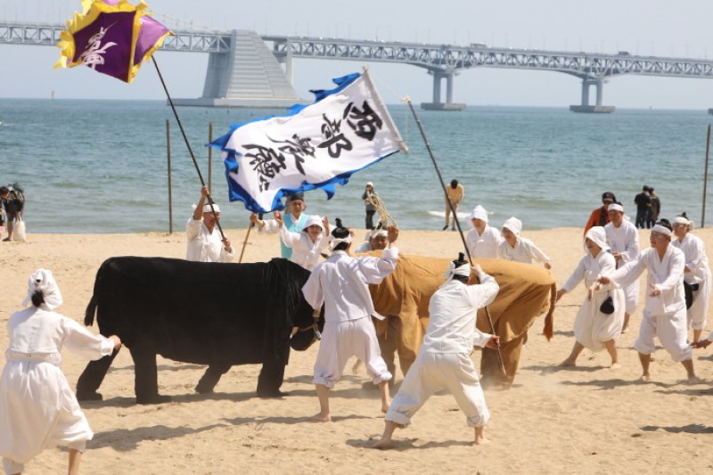 広安里漁坊祭り (19/25)