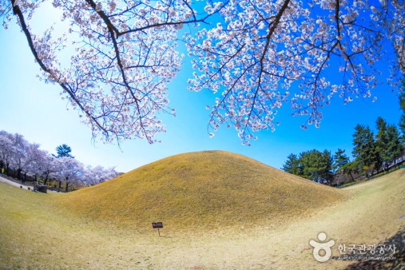 慶州大陵苑一帯（경주 대릉원 일원） (2/3)