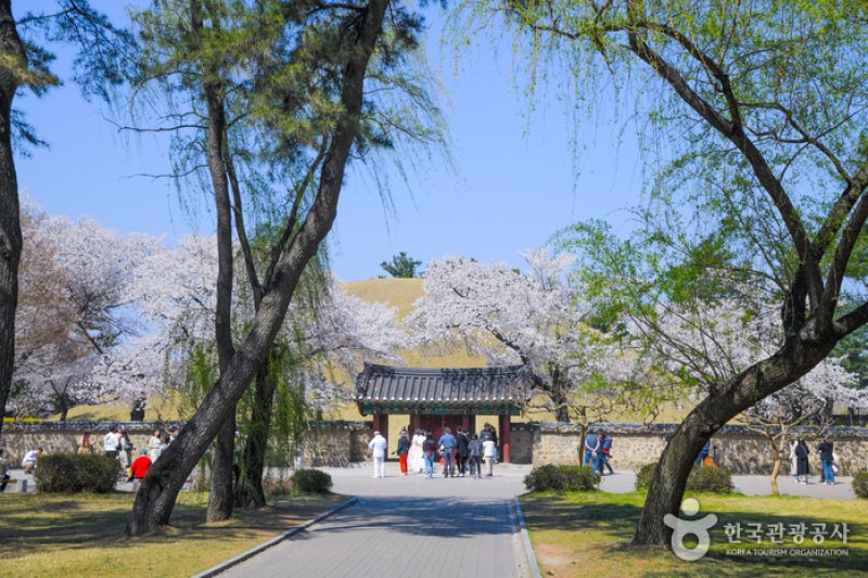 慶州大陵苑一帯（경주 대릉원 일원） (3/3)
