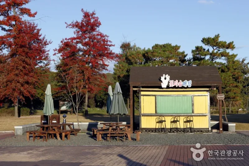 都羅山平和公園（도라산 평화공원） (7/9)