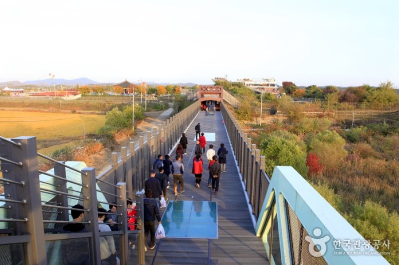 自由の橋（坡州）（자유의 다리(파주)） (4/10)