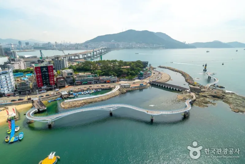 松島クルム散策路（スカイウォーク）（송도 구름산책로(스카이워크)） (5/29)