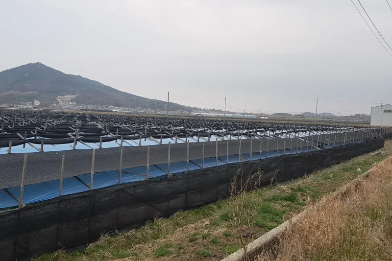 江華島1日、平和観光体験ツアー (22/42)