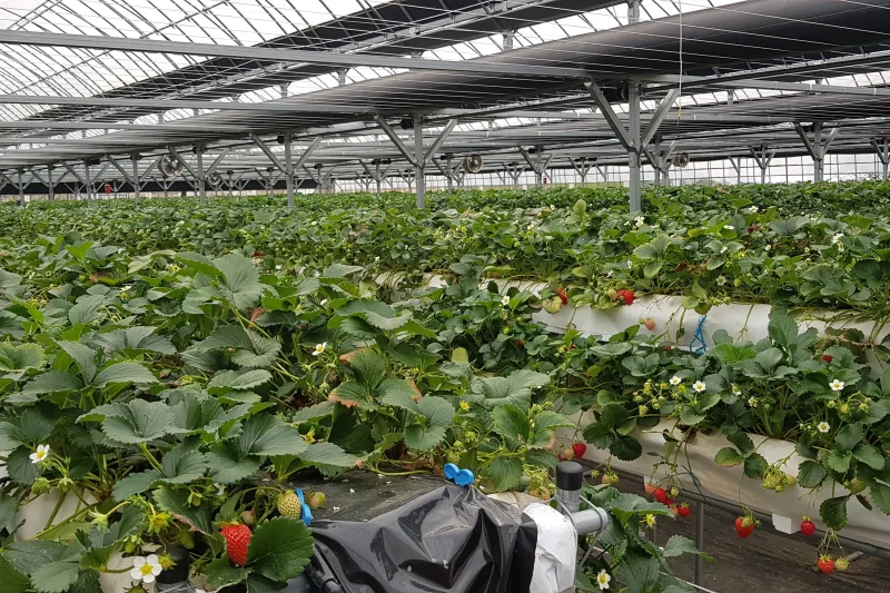 江華島1日、平和観光体験ツアー (29/42)
