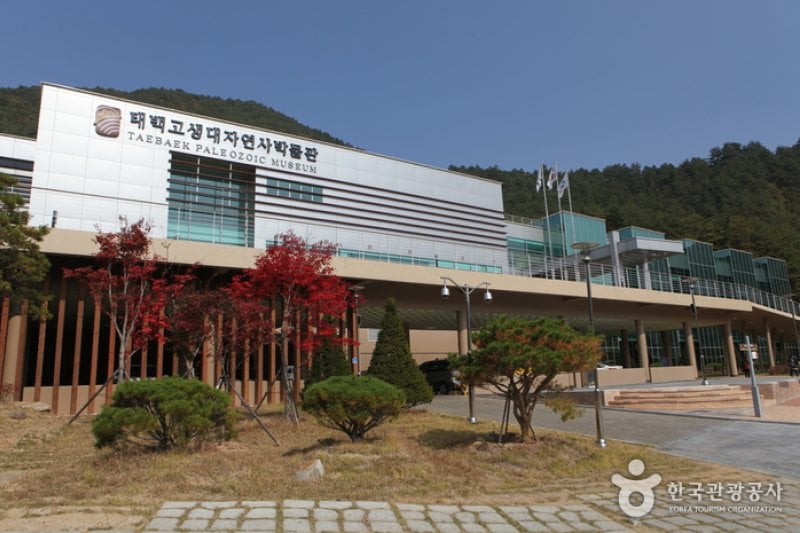 太白古生代自然史博物館（태백 고생대 자연사 박물관） (1/13)