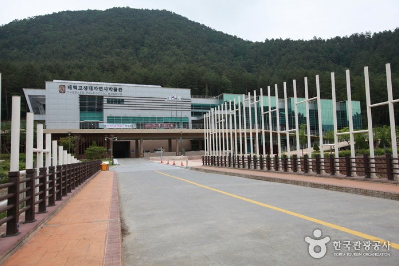 太白古生代自然史博物館（태백 고생대 자연사 박물관） (2/13)