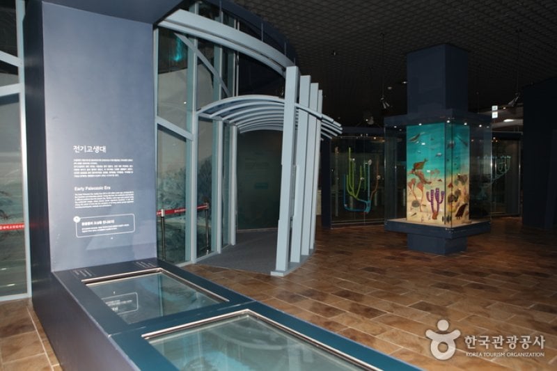 太白古生代自然史博物館（태백 고생대 자연사 박물관） (7/13)