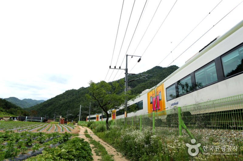 汾川駅（분천역） (2/2)