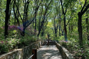 忘憂里市民公園（망우리 시민공원）