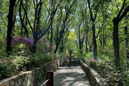 忘憂里市民公園（망우리 시민공원）
