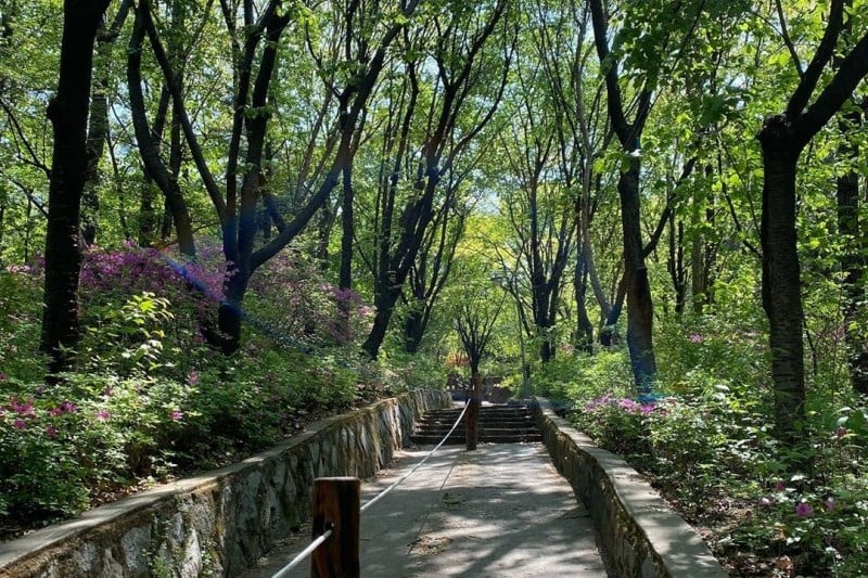 忘憂里市民公園（망우리 시민공원） (1/3)