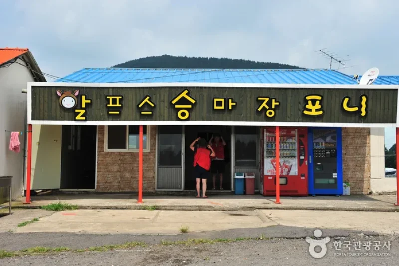 アルプス乗馬場ポニー（알프스승마장 포니） (1/4)