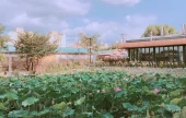 楓洞エニゴル