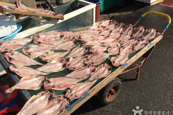 麗水中央鮮魚市場（여수중앙선어시장）
