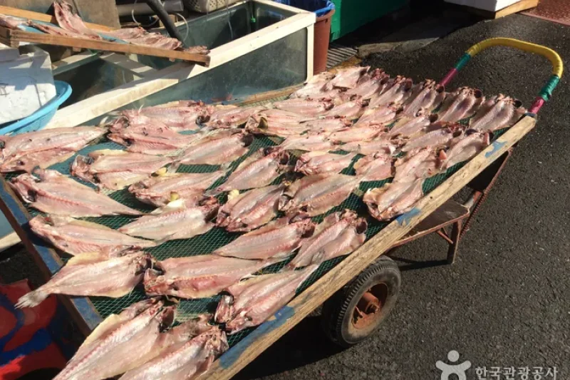 麗水中央鮮魚市場（여수중앙선어시장） (2/5)