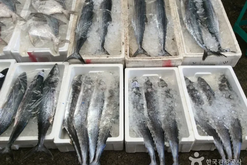麗水中央鮮魚市場（여수중앙선어시장） (4/5)