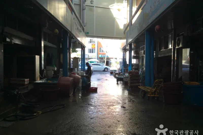 麗水中央鮮魚市場（여수중앙선어시장） (5/5)