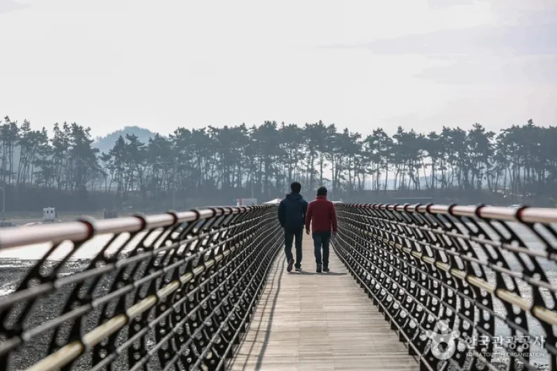 無限の橋（무한의다리） (2/4)