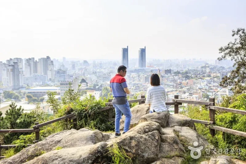 大洞ハヌル公園（대동하늘공원） (15/16)