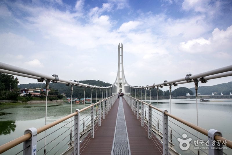 礼唐湖つり橋（예당호 출렁다리） (8/11)