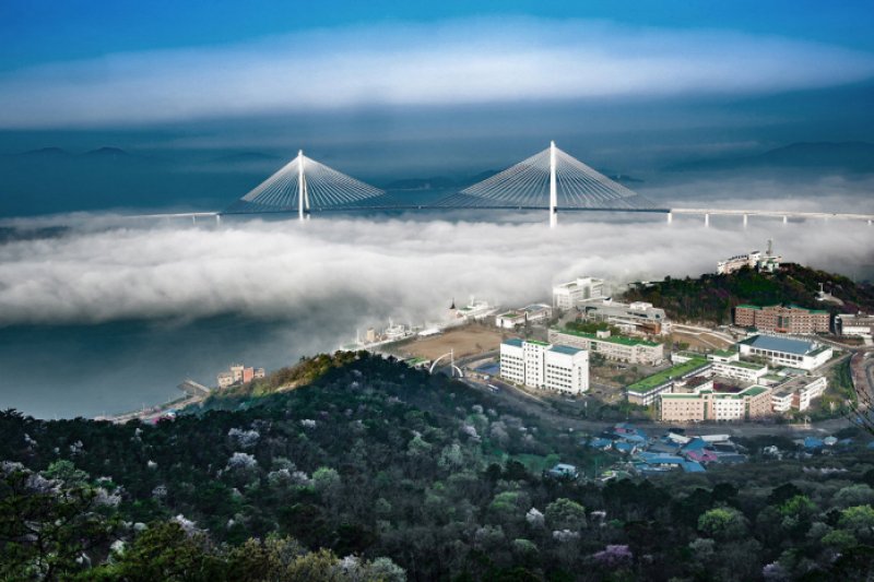木浦大橋（목포대교） (1/6)