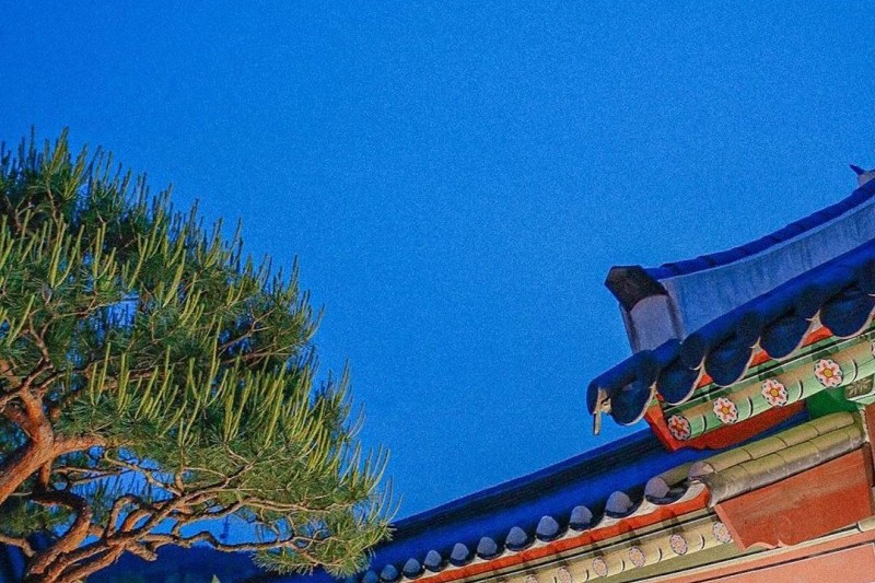 華城行宮夜間開場（화성행궁 야간개장） (9/9)