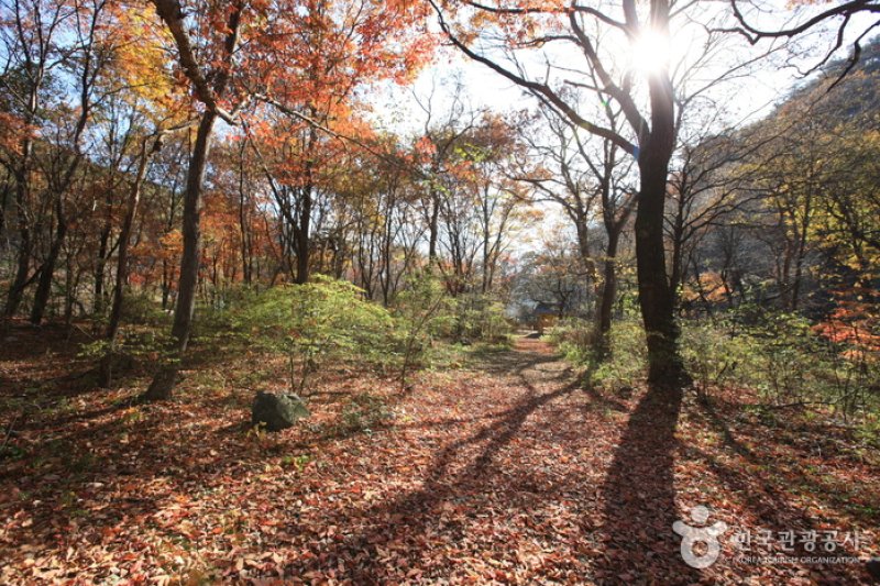 原城 城南里 城隍林（원성 성남리 성황림） (1/7)
