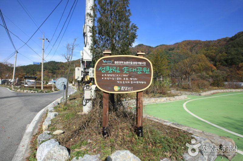 原城 城南里 城隍林（원성 성남리 성황림） (3/7)
