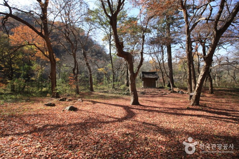 原城 城南里 城隍林（원성 성남리 성황림） (5/7)
