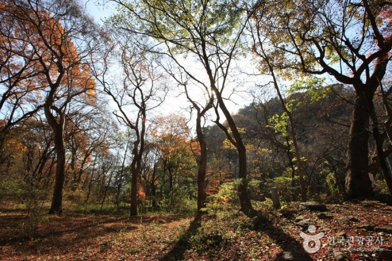 原城 城南里 城隍林（원성 성남리 성황림） (7/7)