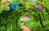 桐華村樹木園（동화마을수목원）