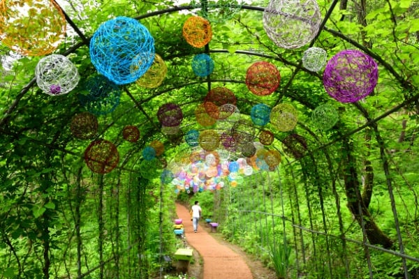 桐華村樹木園（동화마을수목원）